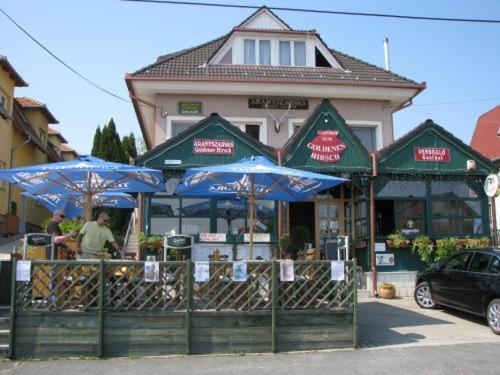 Aranyszarvas-Goldener Hirsch Pension Zalakaros Quarto foto
